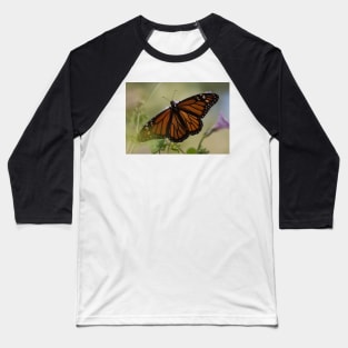 Migration Series III Baseball T-Shirt